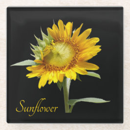 Posavasos De Vidrio girasol amarillo bonito sobre negro