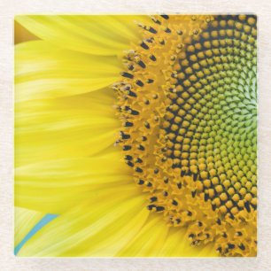 Posavasos De Vidrio Girasol brillante