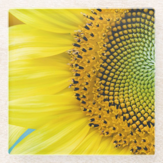 Posavasos De Vidrio Girasol brillante (Anverso)