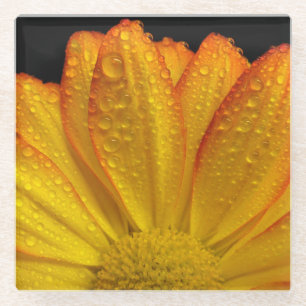 Posavasos De Vidrio Girasol con dew Drots