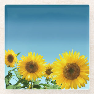 Posavasos De Vidrio Girasoles elegantes sobre tonos azul cielo