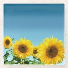 Posavasos De Vidrio Girasoles Elegantes sobre Tonos de Azul Celeste