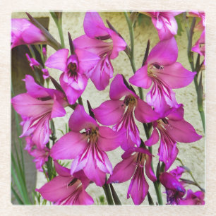 Posavasos De Vidrio Gladiolus bizantino