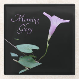 Posavasos De Vidrio Gloria matutina de bonito púrpura sobre negro