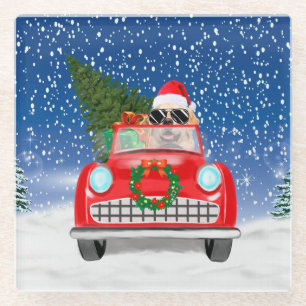 Posavasos De Vidrio Golden Retriever Dog Driing Car En Navidades De Ni