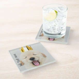 Posavasos De Vidrio Golden Retriever Puppy Sleepy en Gold Crown