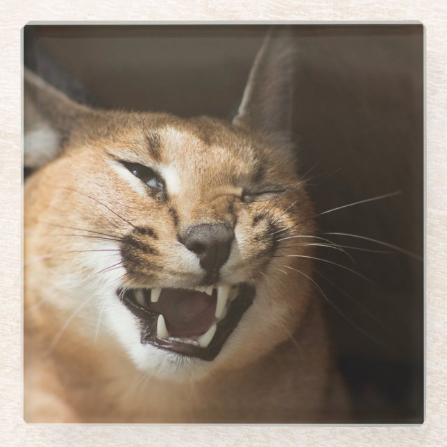 Posavasos De Vidrio Goofy Lynx (Anverso)