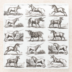 Posavasos De Vidrio Grabado Antiguo de Unicornio Especimen de Zoología