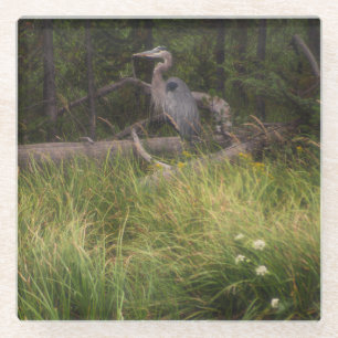 Posavasos De Vidrio Gran garza azul 8917