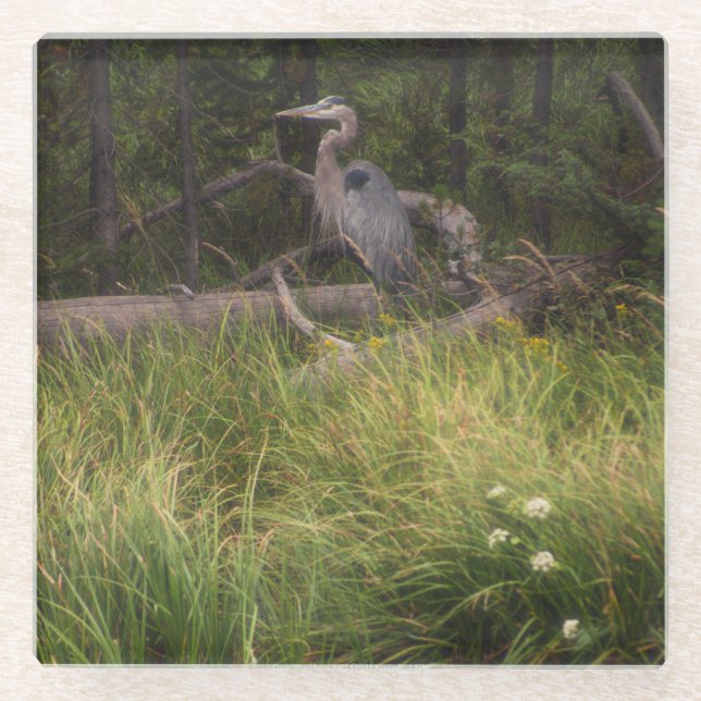 Posavasos De Vidrio Gran garza azul 8917 (Anverso)