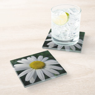 Posavasos De Vidrio Gran margarita blanca