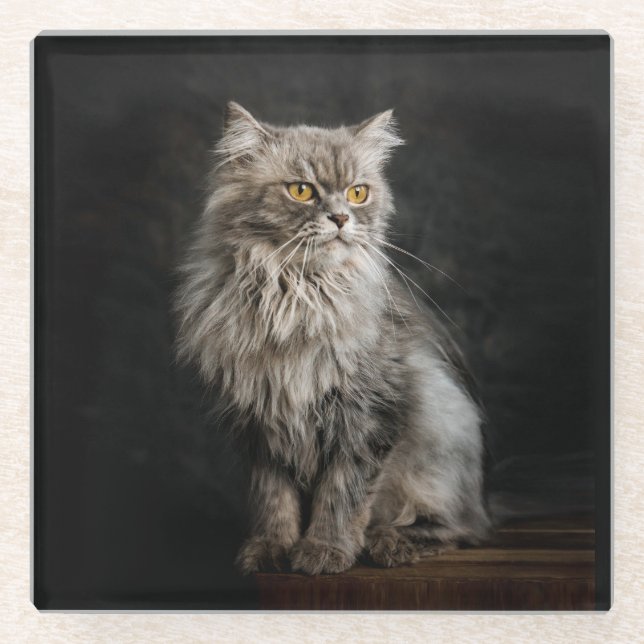Posavasos De Vidrio Gris Fluffy Cat (Anverso)