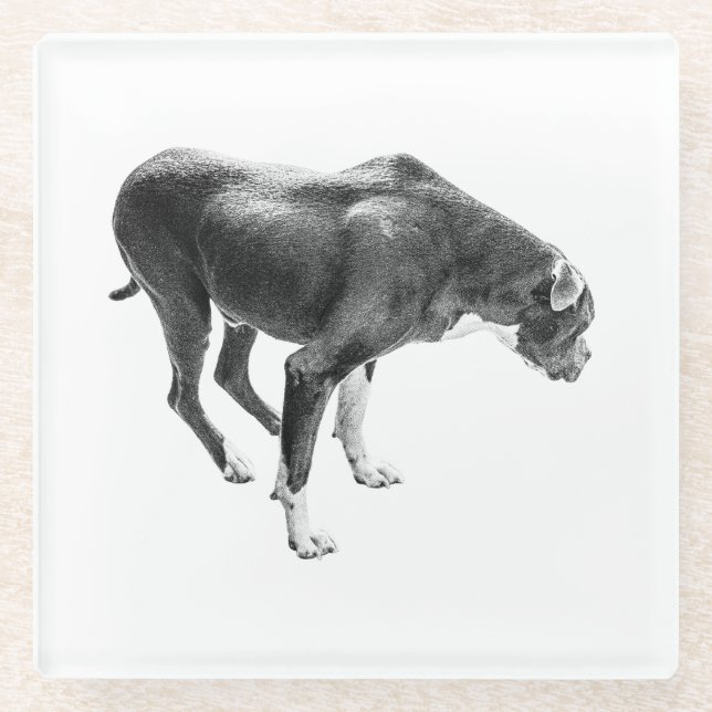 Posavasos De Vidrio Guardián de tabla de otoño (Anverso)