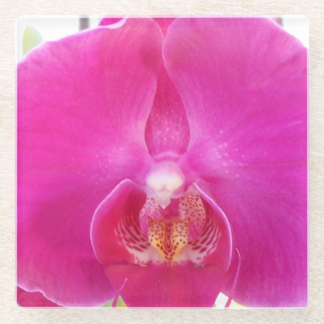 Posavasos De Vidrio Guda (Anverso)