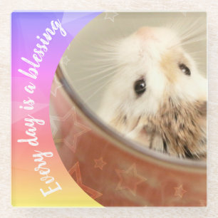 Posavasos De Vidrio Hammyville - Cute Robo Hamster
