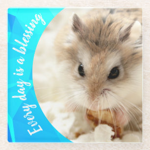 Posavasos De Vidrio Hammyville - Cute Robo Hamster