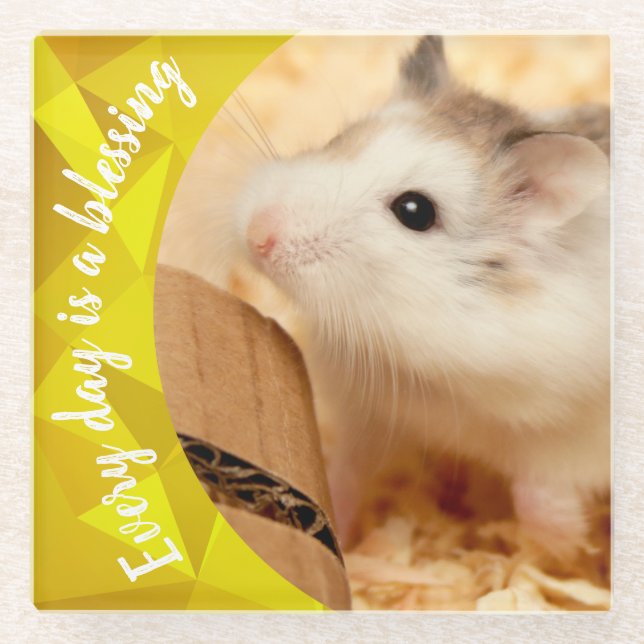 Posavasos De Vidrio Hammyville - Cute Robo Hamster (Anverso)