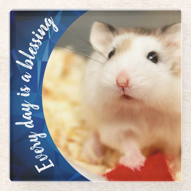 Posavasos De Vidrio Hammyville - Cute Robo Hamster (Anverso)