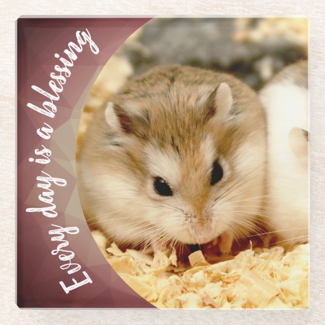 Posavasos De Vidrio Hammyville - Cute Robo Hamster (Anverso)