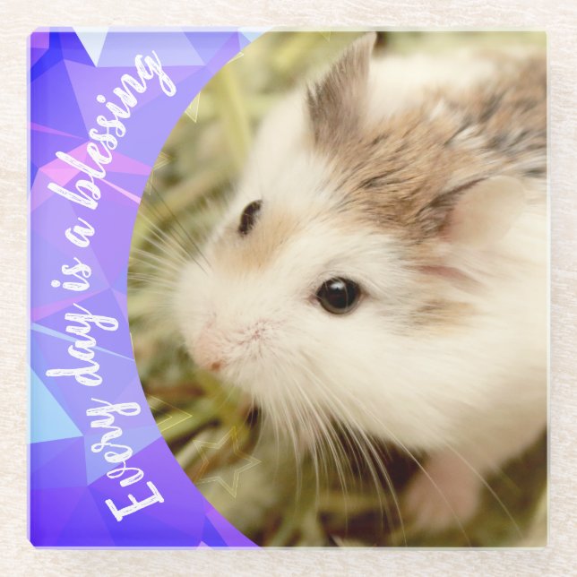 Posavasos De Vidrio Hammyville - Cute Robo Hamster (Anverso)