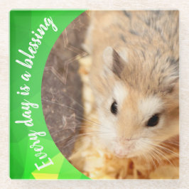 Posavasos De Vidrio Hammyville - Cute Robo Hamster
