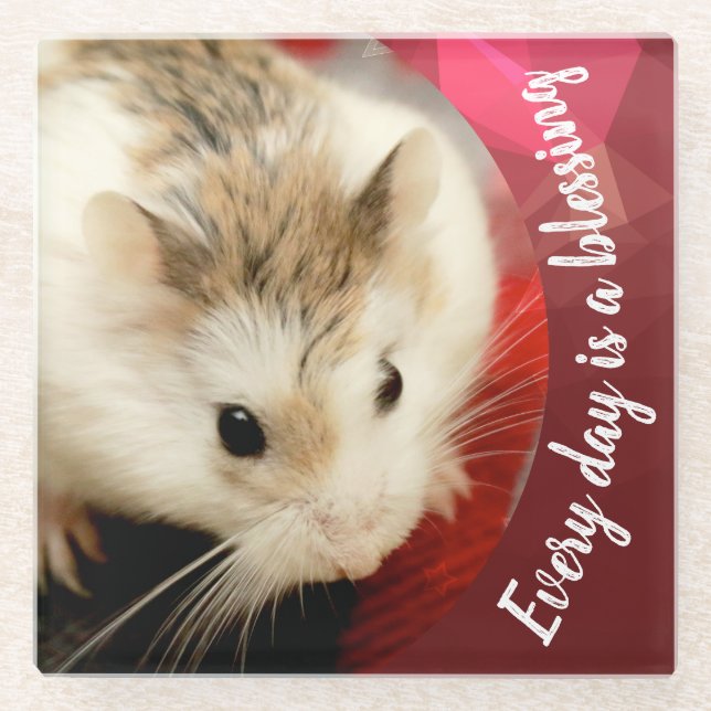 Posavasos De Vidrio Hammyville - Cute Robo Hamster (Anverso)