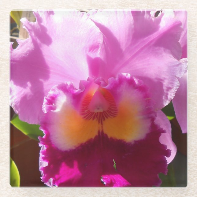 Posavasos De Vidrio Harlinde (Anverso)