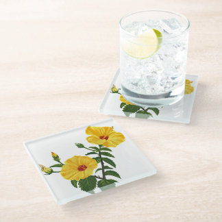 Posavasos De Vidrio Hawaiian yellow hibiscus Botanical illustration