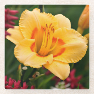 Posavasos De Vidrio Hermosa flor amarilla y Naranja Lily