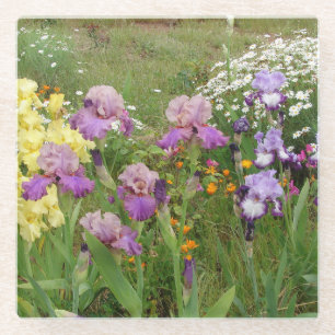 Posavasos De Vidrio Hermosa Flor de Iris Púrpura Foto floral