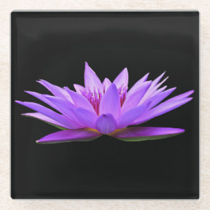 Posavasos De Vidrio Hermosa Lirio de Agua Púrpura Flotante