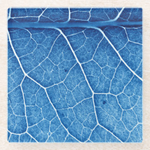 Posavasos De Vidrio Hermosa planta Closeup Textura Fondo