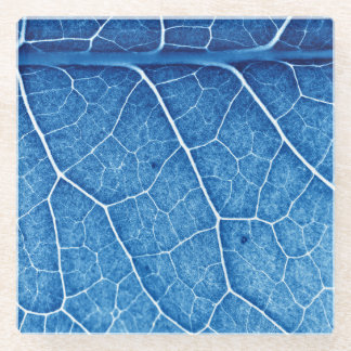 Posavasos De Vidrio Hermosa planta Closeup Textura Fondo