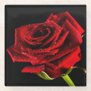 Posavasos De Vidrio Hermosa rosa roja