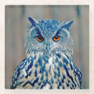 Posavasos De Vidrio Hermosa Uhu Raptor Owl