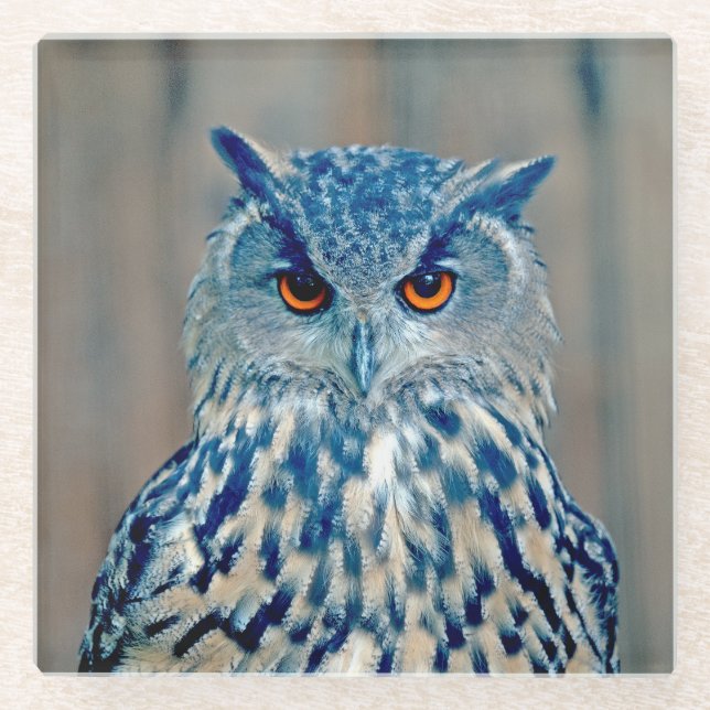Posavasos De Vidrio Hermosa Uhu Raptor Owl (Anverso)