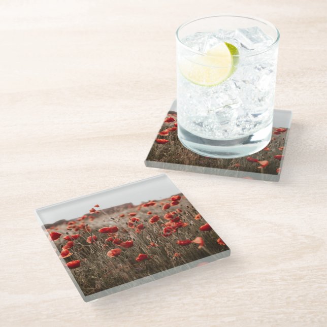 Posavasos De Vidrio hermosas flores de amapola (Angular)