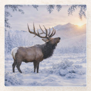 Posavasos De Vidrio Hermoso alce en la nieve arte