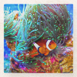 Posavasos De Vidrio Hermoso arrecife de coral con peces payasos