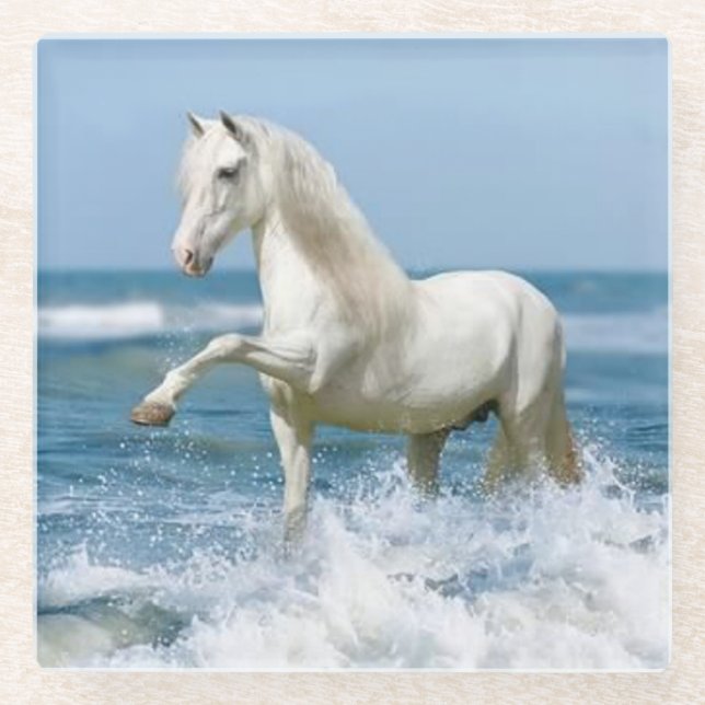 Posavasos De Vidrio Hermoso caballo blanco en el agua (Anverso)