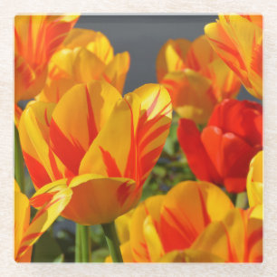 Posavasos De Vidrio Hermoso Naranja y tulipanes amarillos