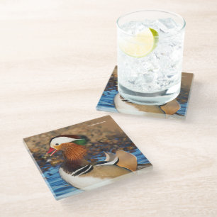Posavasos De Vidrio Hermoso pato chatty mandarín en el estanque