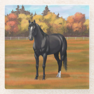 Posavasos De Vidrio Hermoso Stallion de caballos del Barrio Negro