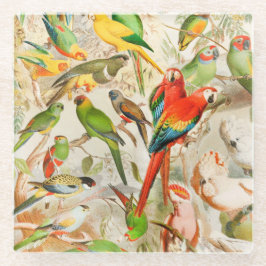 Posavasos De Vidrio Hermosos loros de aves tropicales de época
