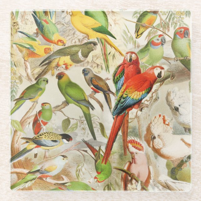 Posavasos De Vidrio Hermosos loros de aves tropicales de época (Anverso)