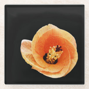 Posavasos De Vidrio Hibiscus