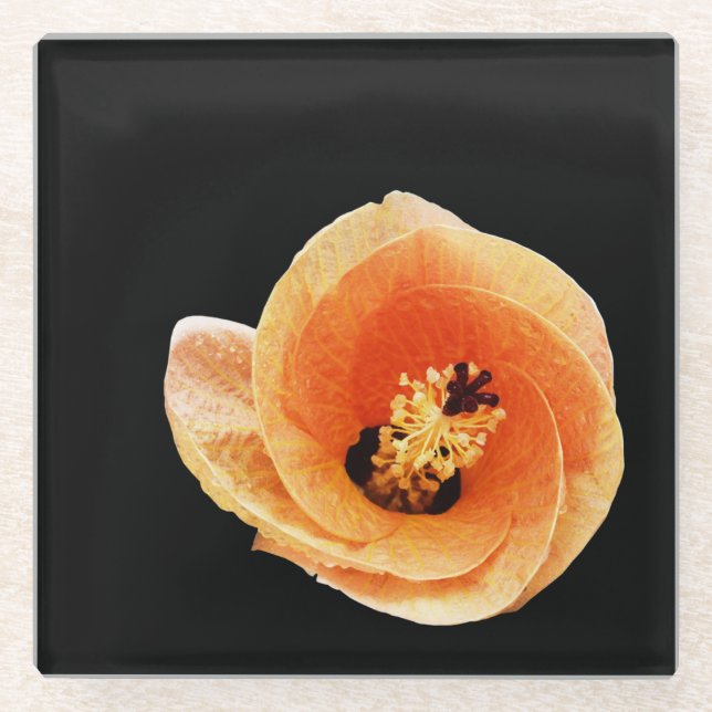 Posavasos De Vidrio Hibiscus (Anverso)