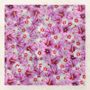Posavasos De Vidrio Hibiscus - Patrón de flor Rosa chino
