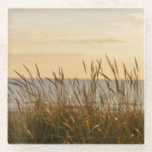 Hierba de playa al atardecer, estética tranquila