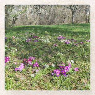 Posavasos De Vidrio Hinchera de la primavera